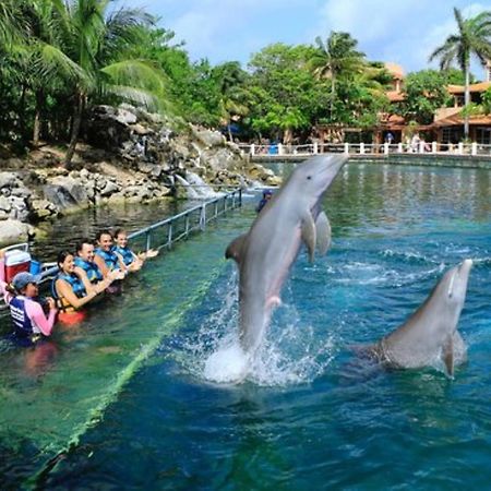 Amazing Puerto Aventuras Modern Studio #201 Esterno foto