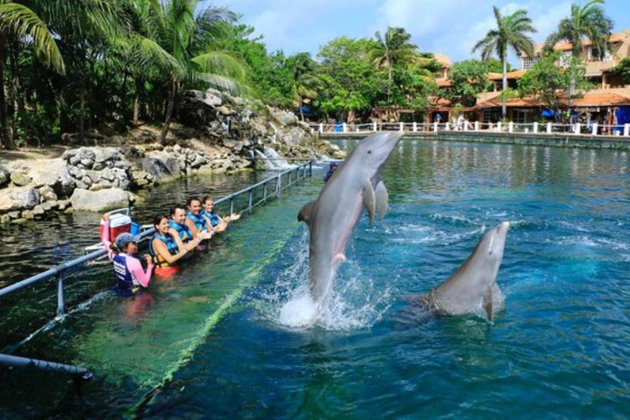 Amazing Puerto Aventuras Modern Studio #201 Esterno foto